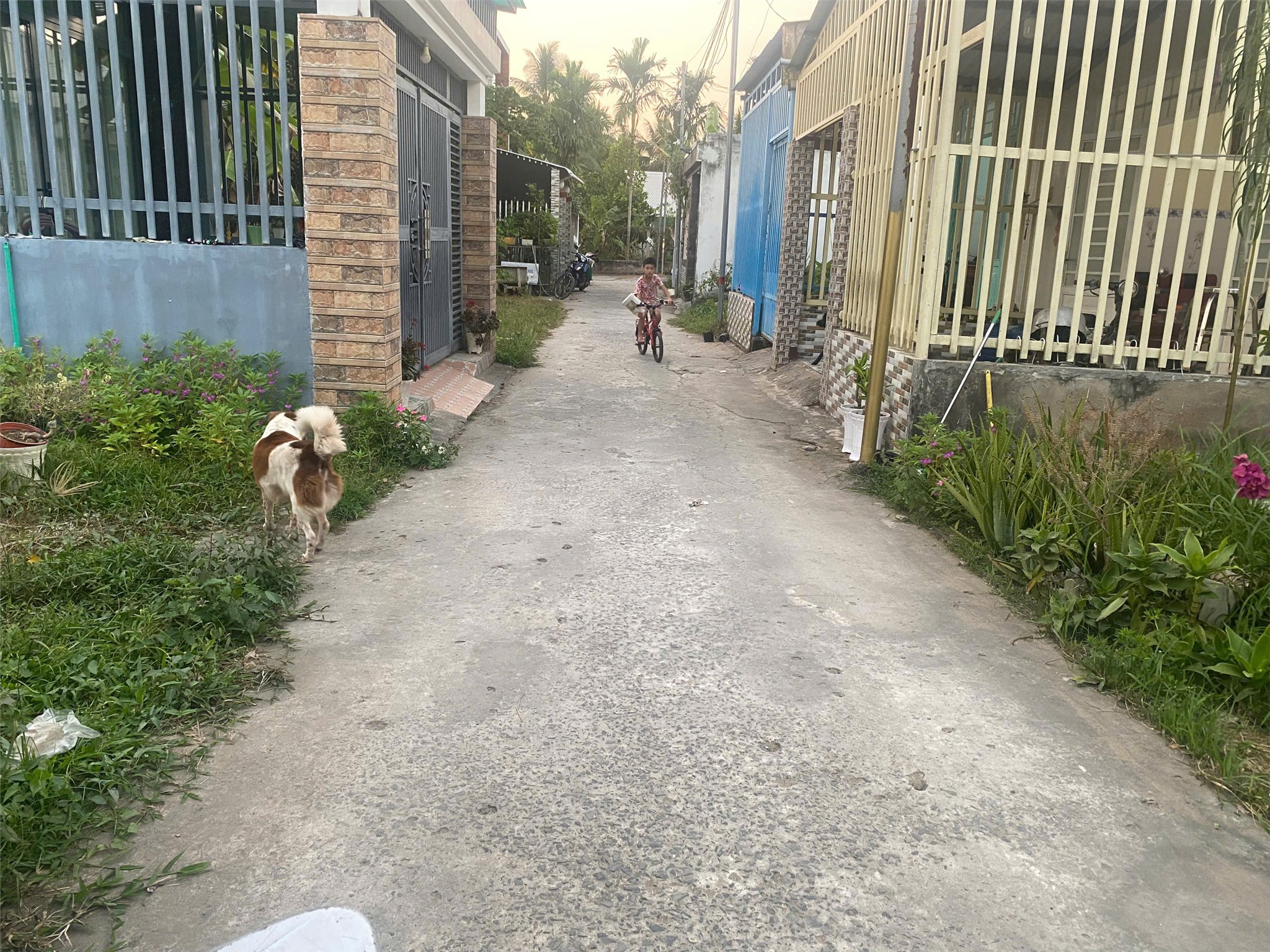 z7492346900290_95bee80f6cc5dfda245f682dc36d4aeb