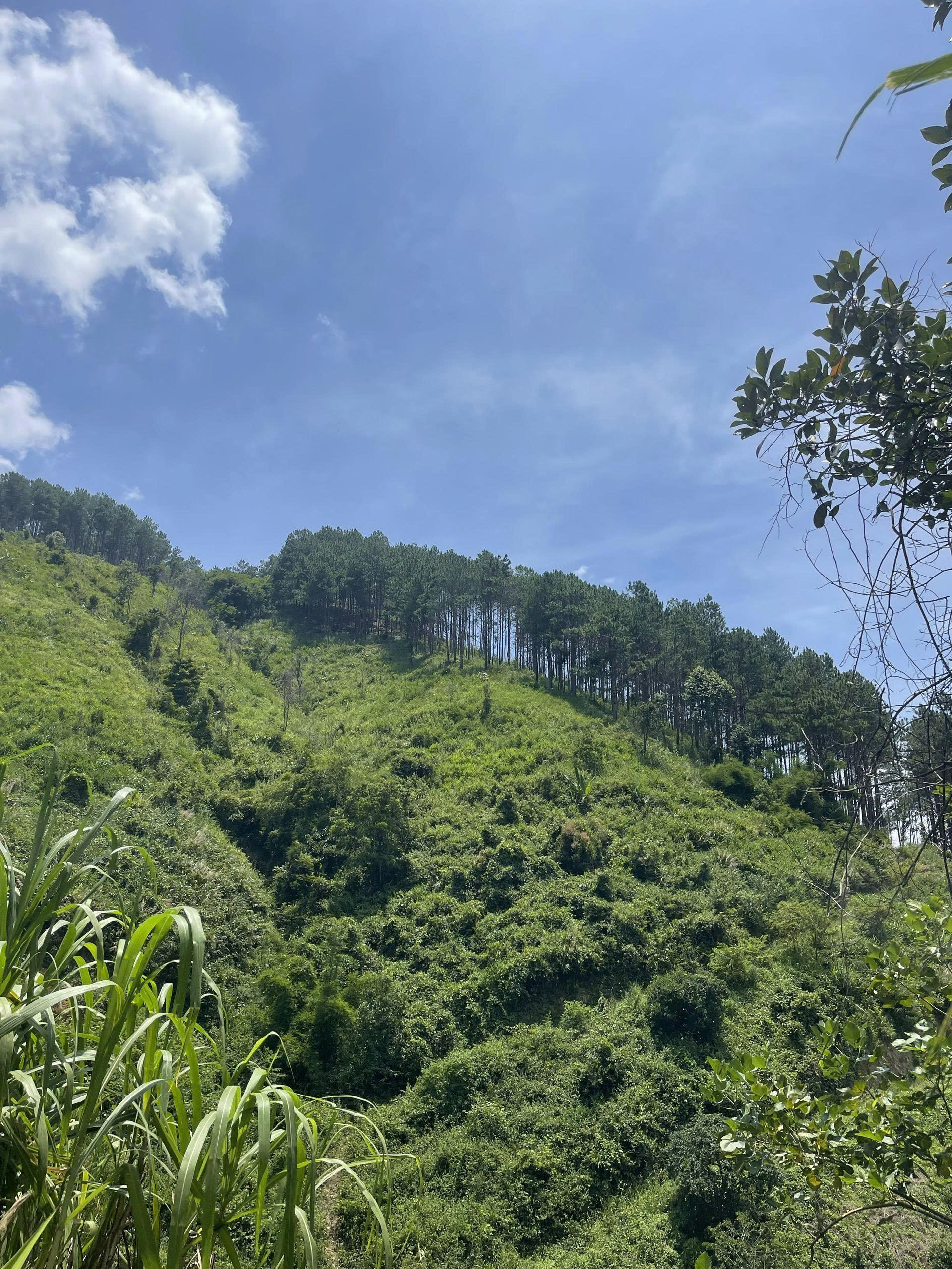 z7492857491006_1d91092db9f02674a95b5440db0ee249