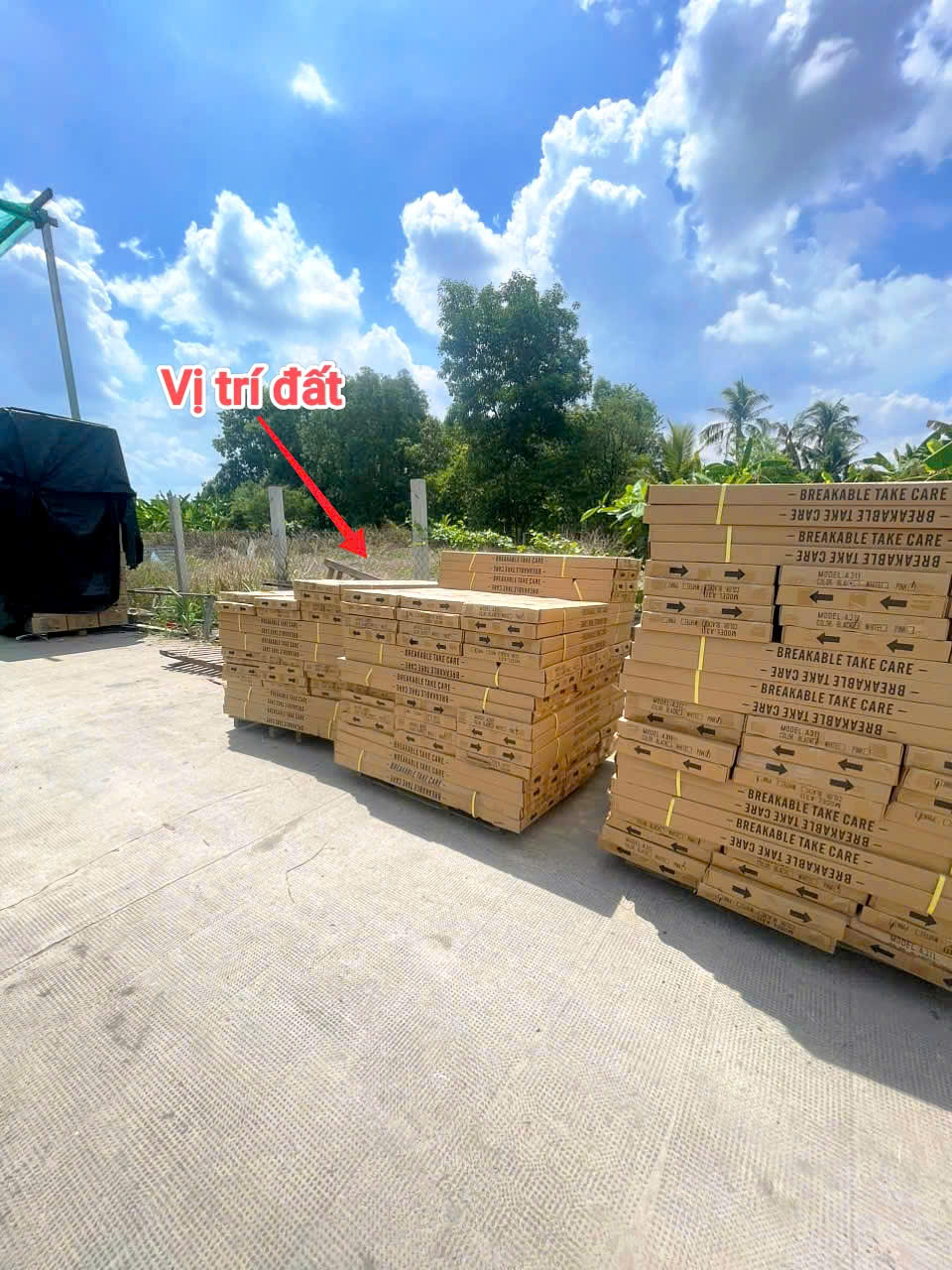 z7495004899355_65669c5431a4cb9c3c35dc9316764dcd