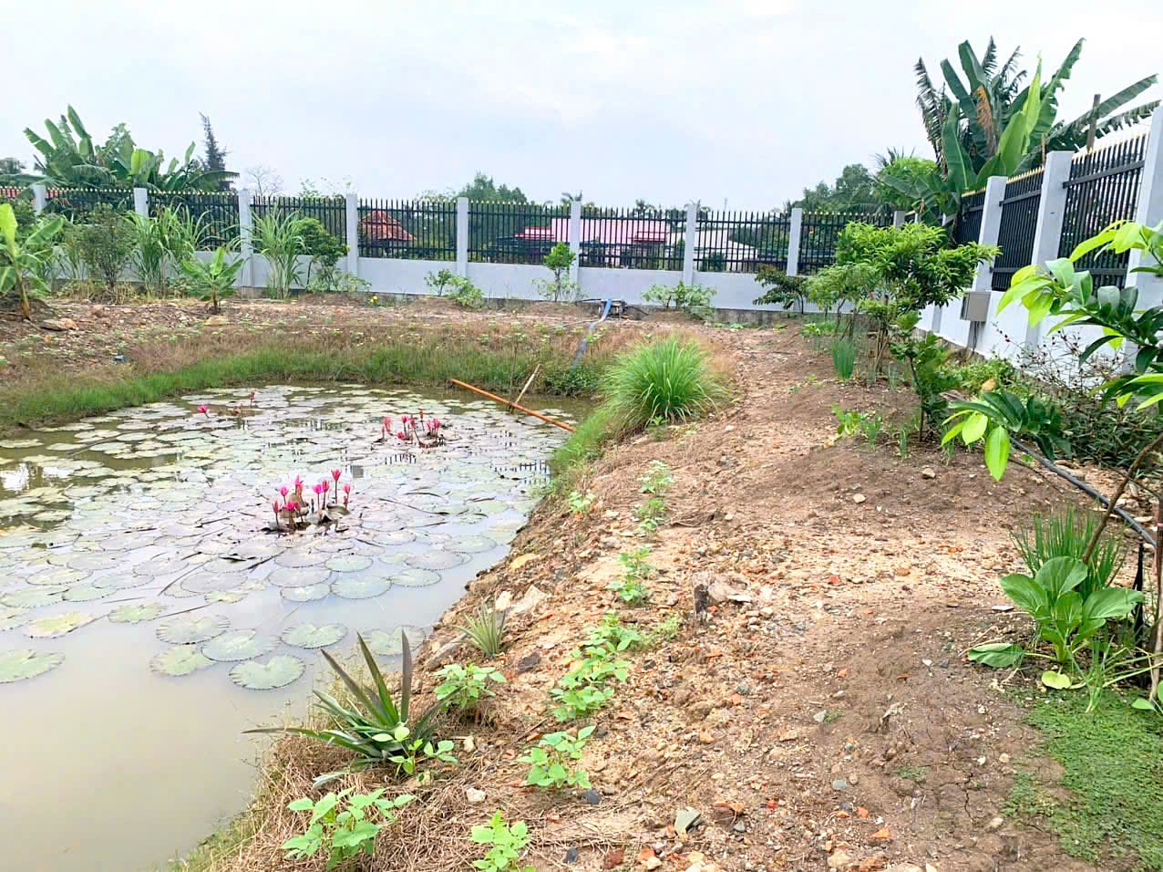 z7495064912154_c8b63ad1ace7f4a3987f9dba99b0282a