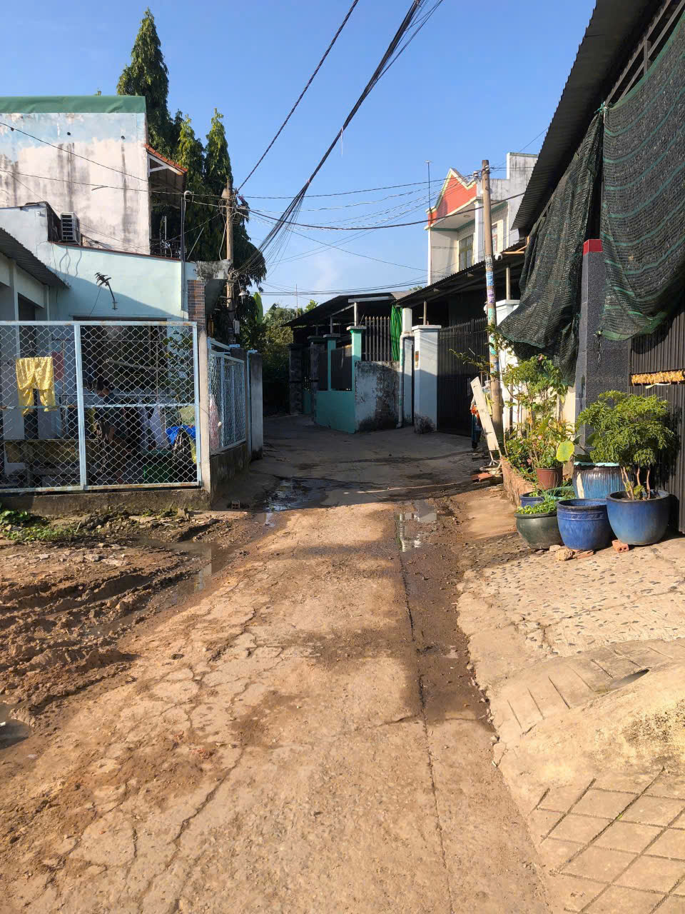 z7495641726162_aa8e462464c5a81743791e621a2ddd16