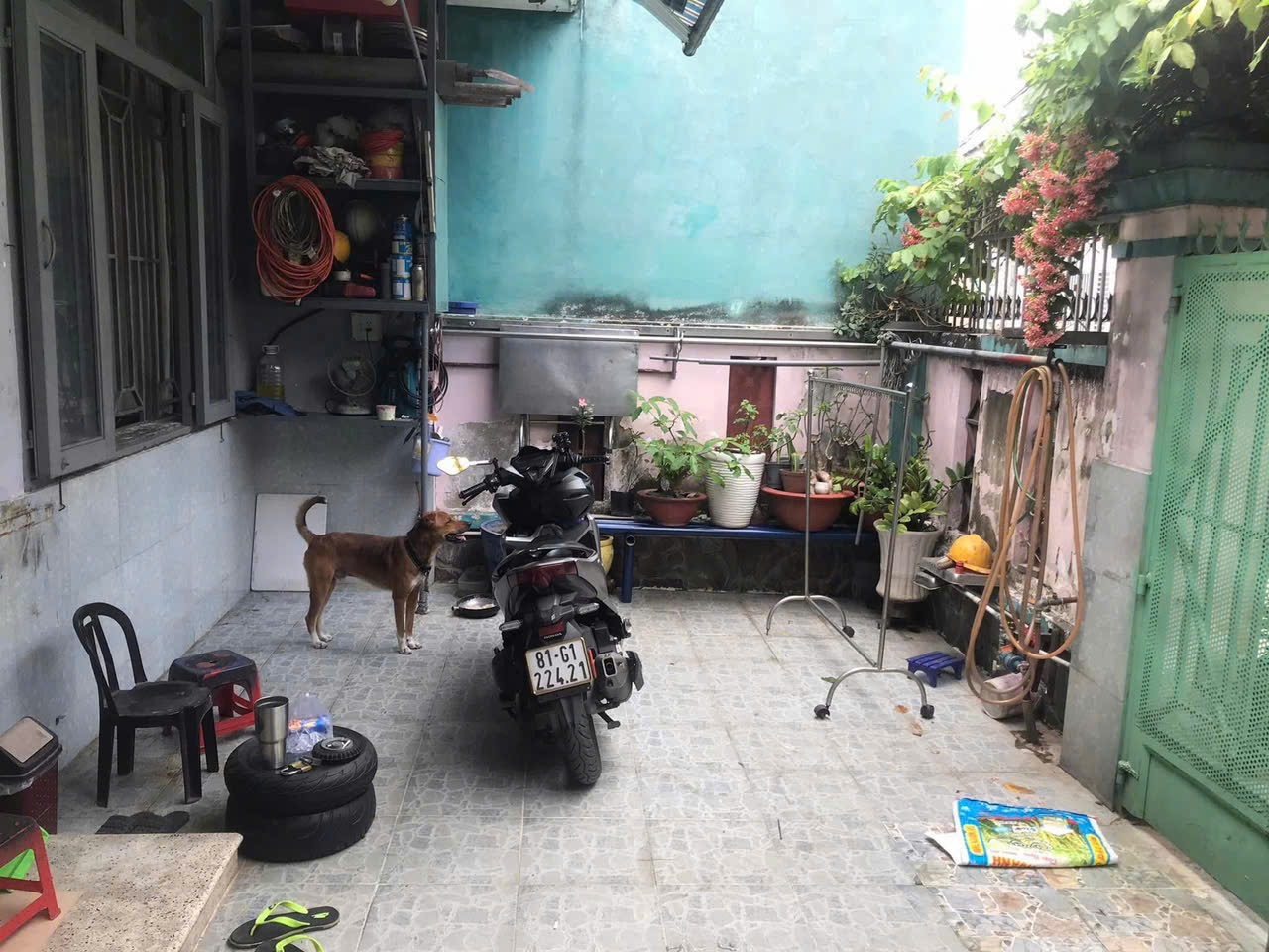 z7495642910840_d0bca9310f7a4d934a96d1531e5b3f29