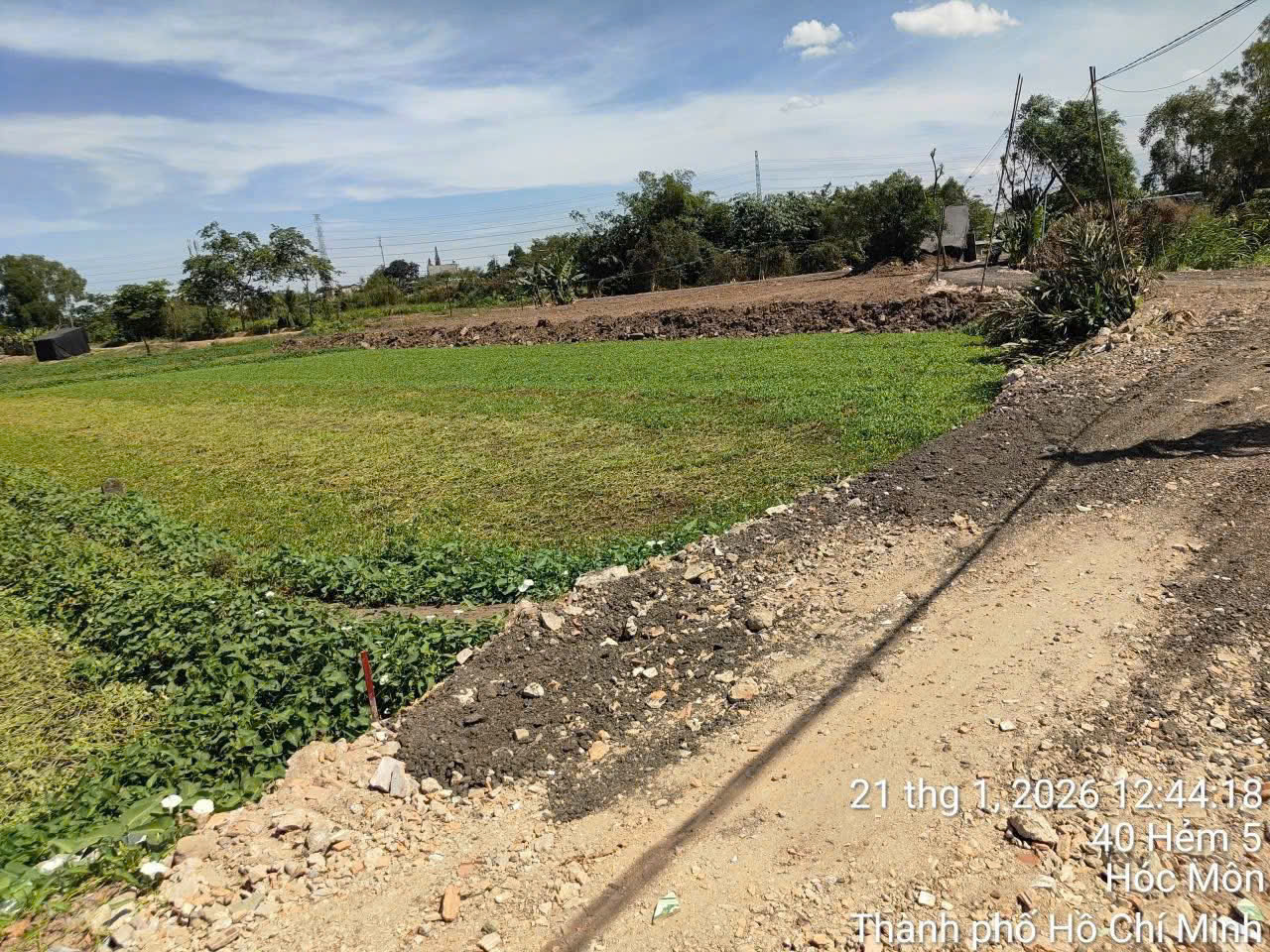 z7495647463653_8feef62b49c0af724ba3866b322a7051