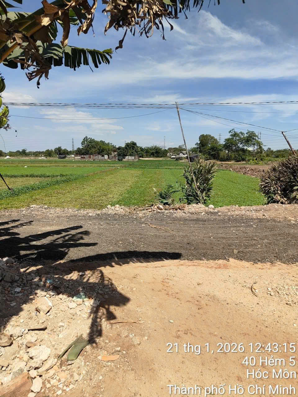 z7495647463654_86e90fb8b9f8f112b791bd0569a2f293