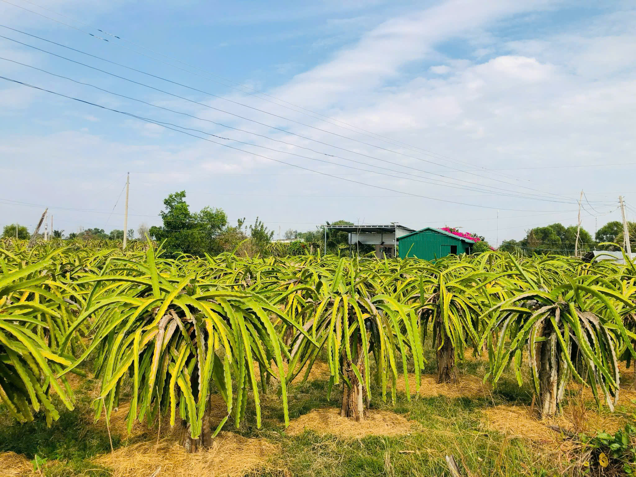 z7495809081842_be430d11f82c31051f88fa401940be0f