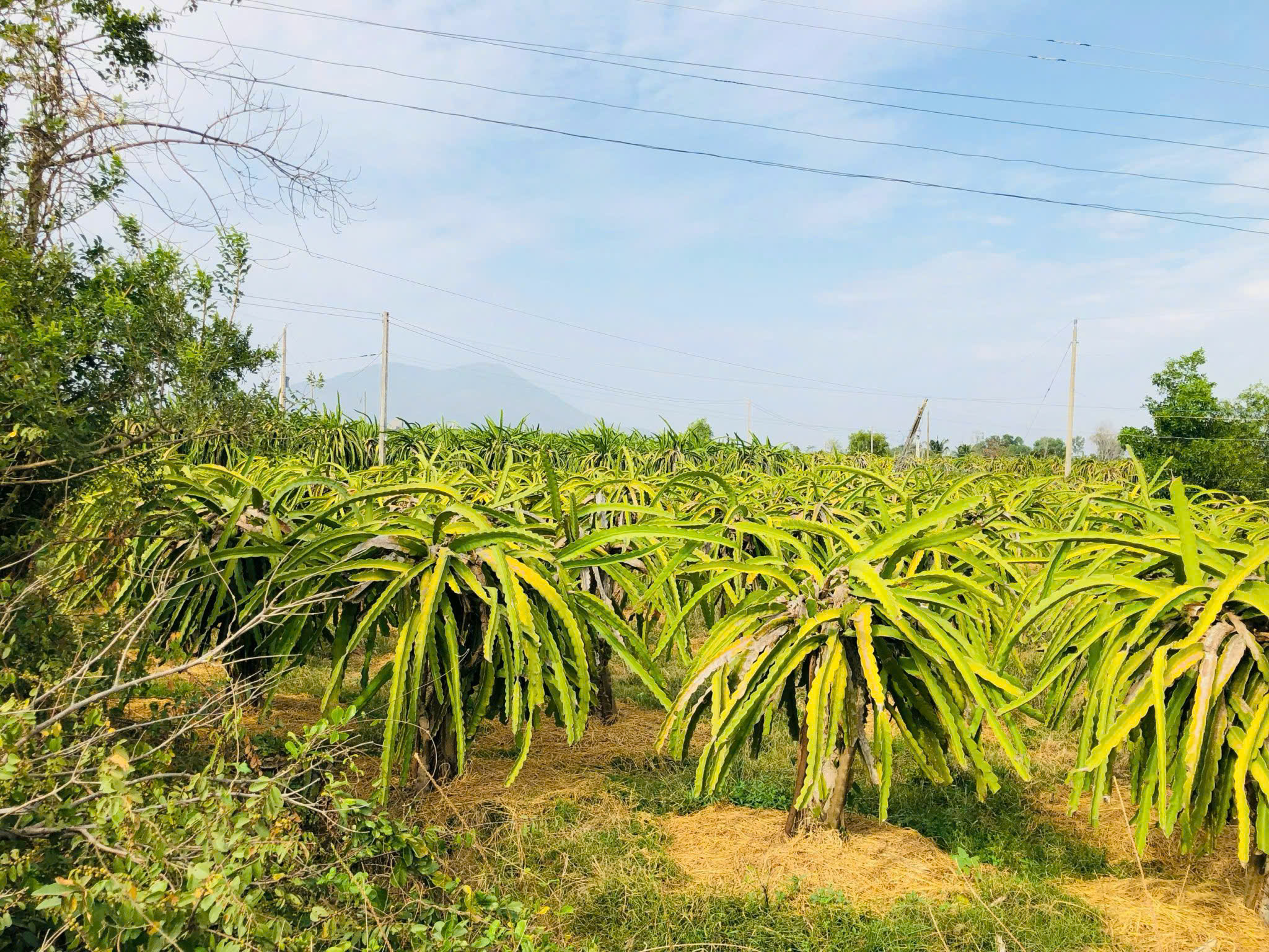 z7495809103776_db4b181e602b12e54d801a0d4a4fc38a