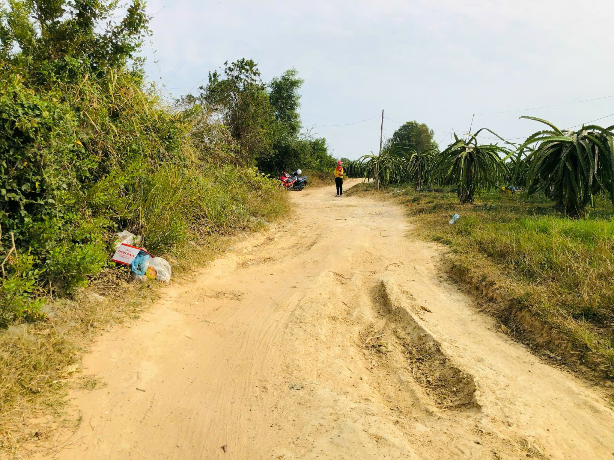 z7495809120861_c8b4957905dad3e6b695c66a11e68503