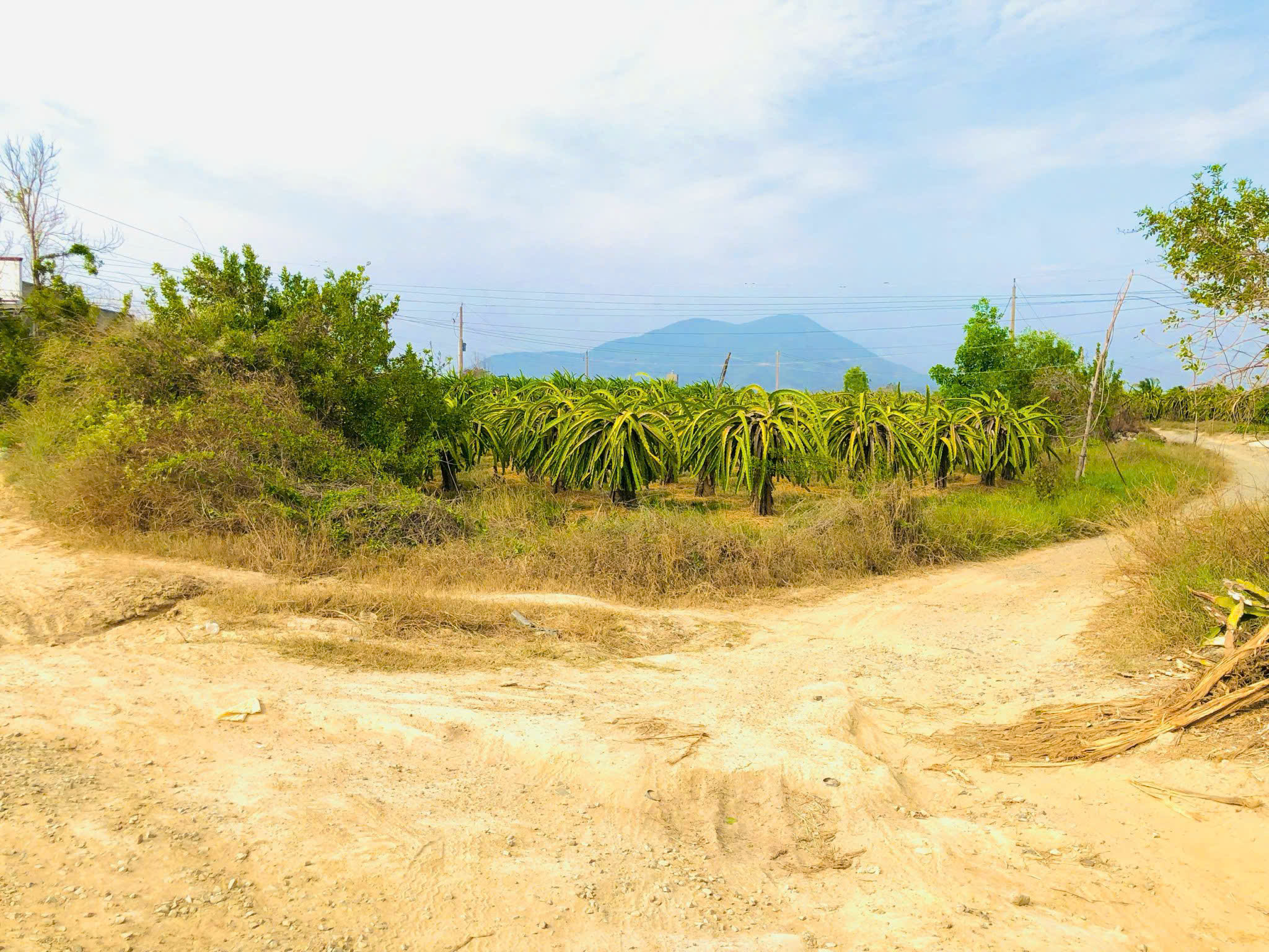 z7495809127419_131c894974b693d8f60bb1a3d77622e0