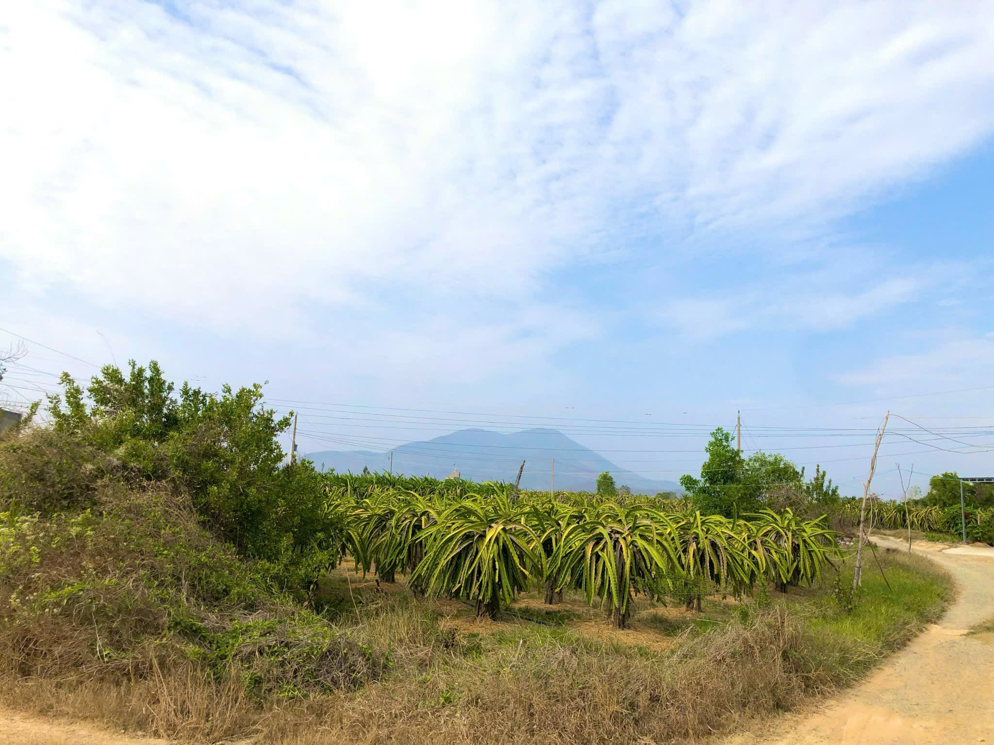 z7495809142554_34bc4a12c0056d68b8ccebff93fcd971