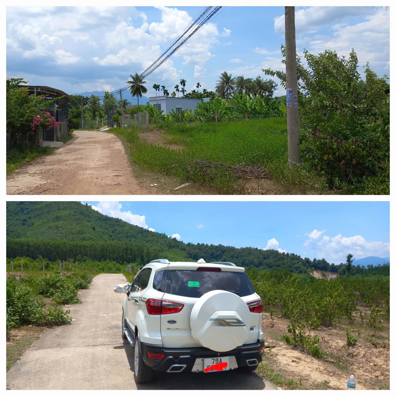 z7497225924414_8403f0769b946858208b5d09a029319a