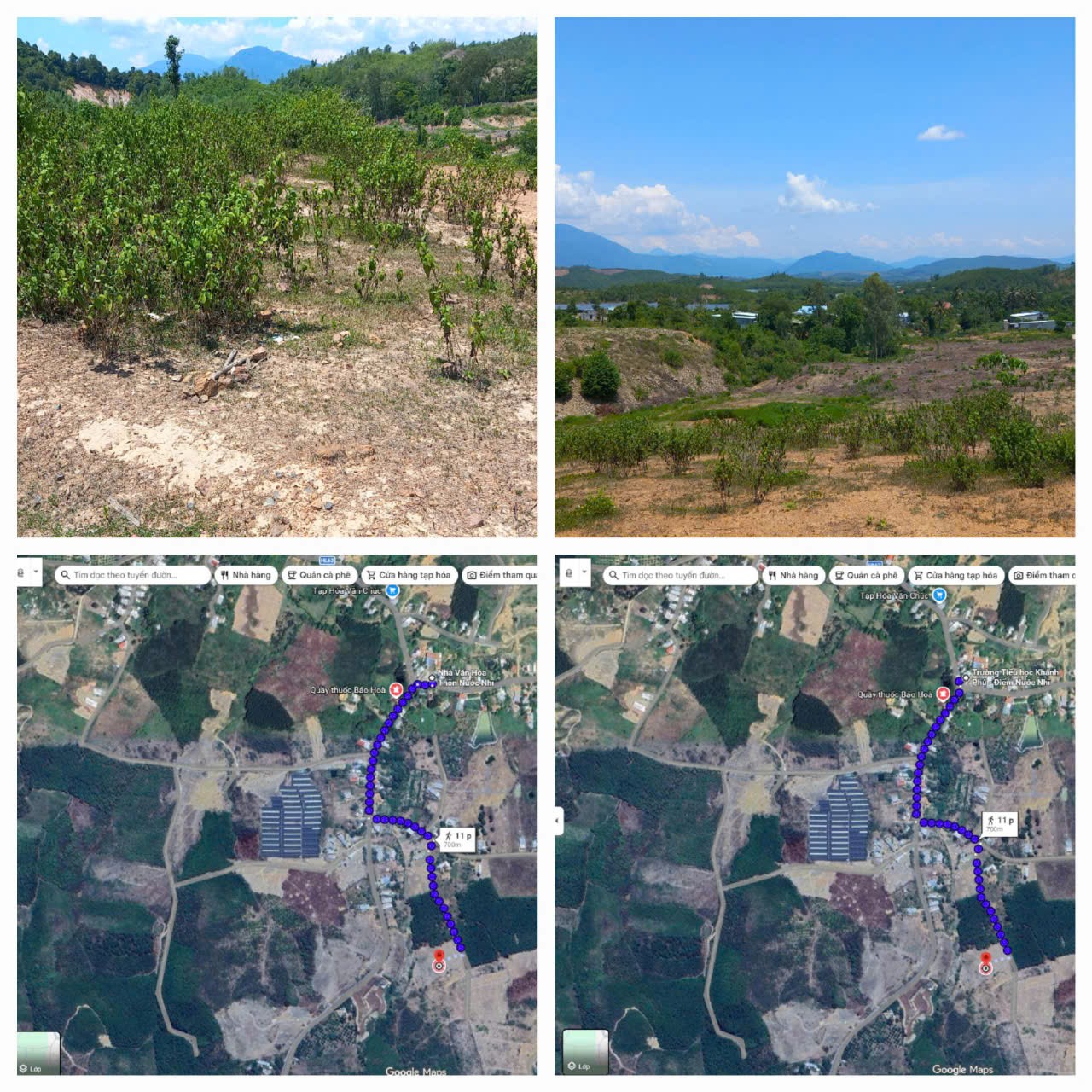 z7497225924463_39b2a19a610959bd7ed88b4552e8c52f