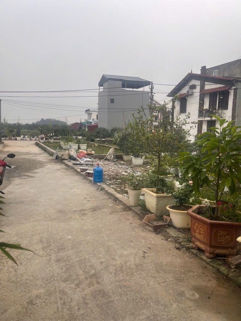 z7532345285616_6f9ce2f9b5aaf3cef18694f47fc881ae