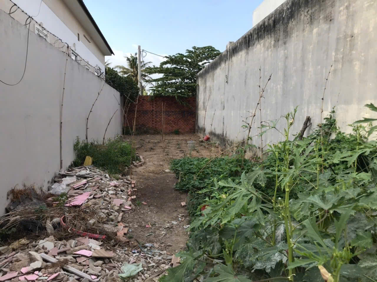 z7535713611696_f0306e5a19fa9262557f78a7d51a3288