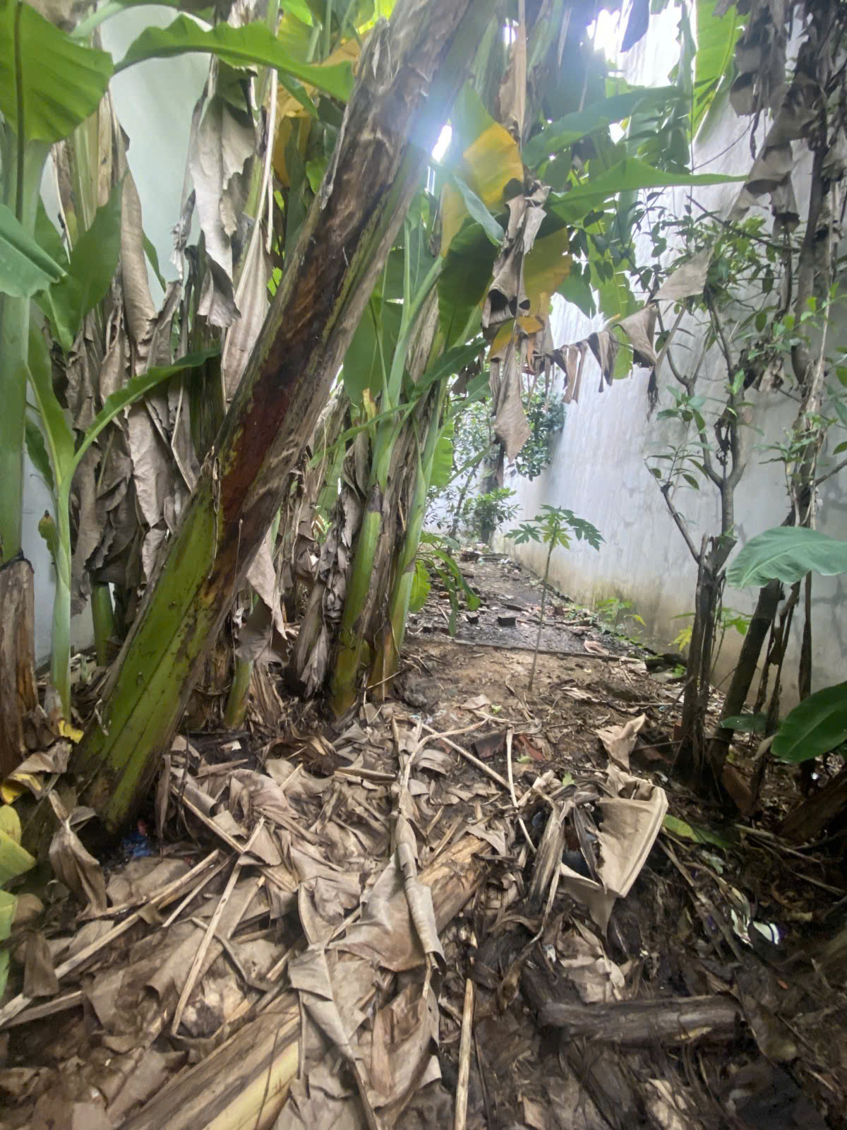 z7539189158891_804b3a1c75e1ad81435ee78d9d80fb47